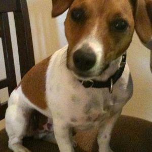 Meet your Posher, Penny